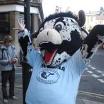 G&D cow in the street